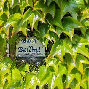 Bellini Bed & Breakfast Milo